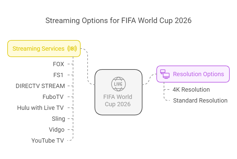 fifa world cup in 4k